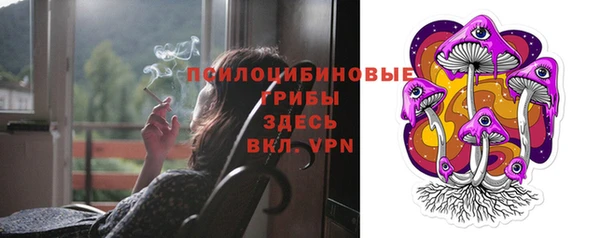 прущие крисы Медвежьегорск