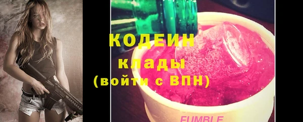 прущие крисы Медвежьегорск