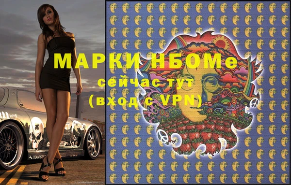 прущие грибы Медногорск
