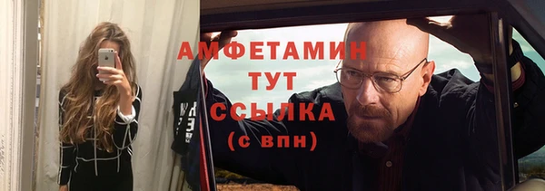 прущие грибы Медногорск