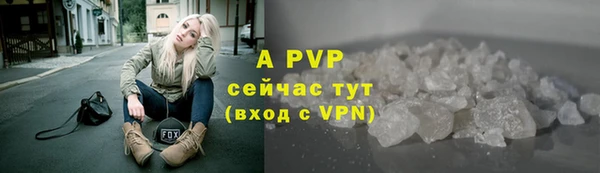 прущие грибы Медногорск