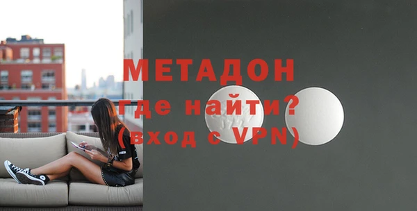 прущие грибы Медногорск