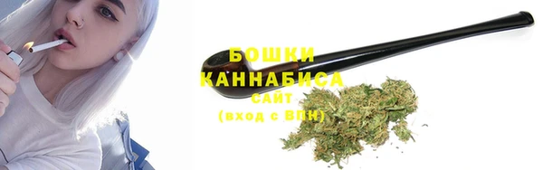 прущие крисы Медвежьегорск