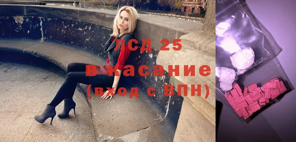прущие грибы Медногорск