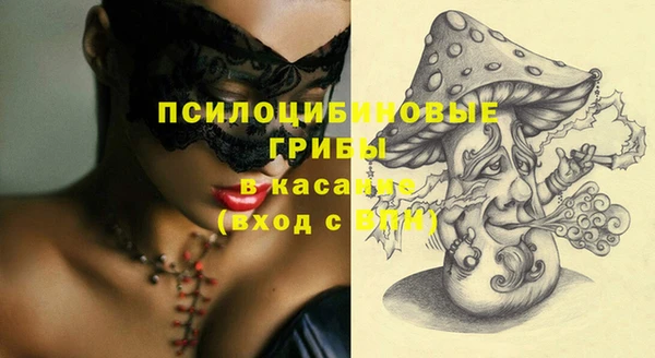 прущие крисы Медвежьегорск