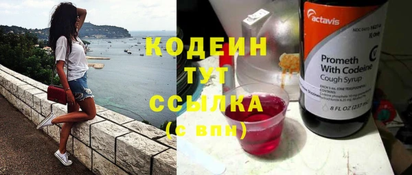 прущие грибы Медногорск