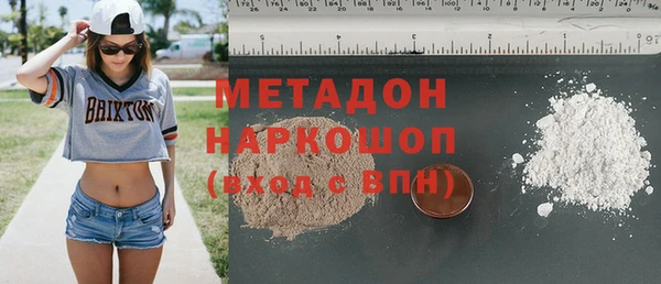 прущие грибы Медногорск