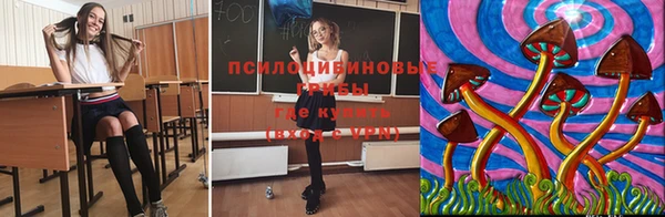 прущие крисы Медвежьегорск