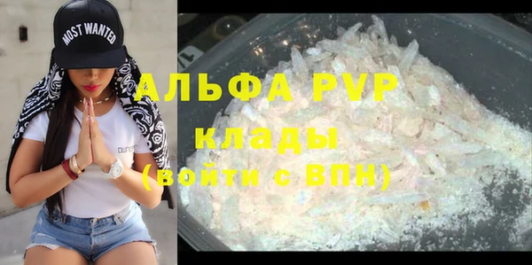 прущие грибы Медногорск