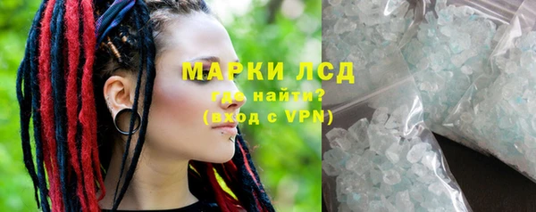 прущие грибы Медногорск